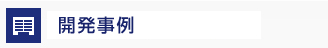 開発事例